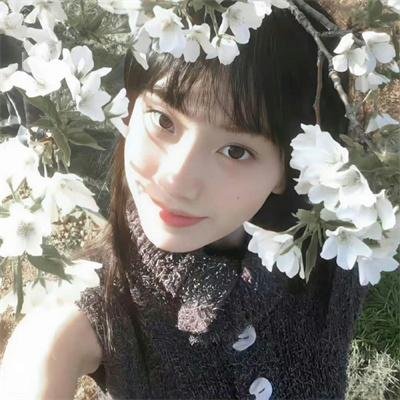 2023清明奇妙游