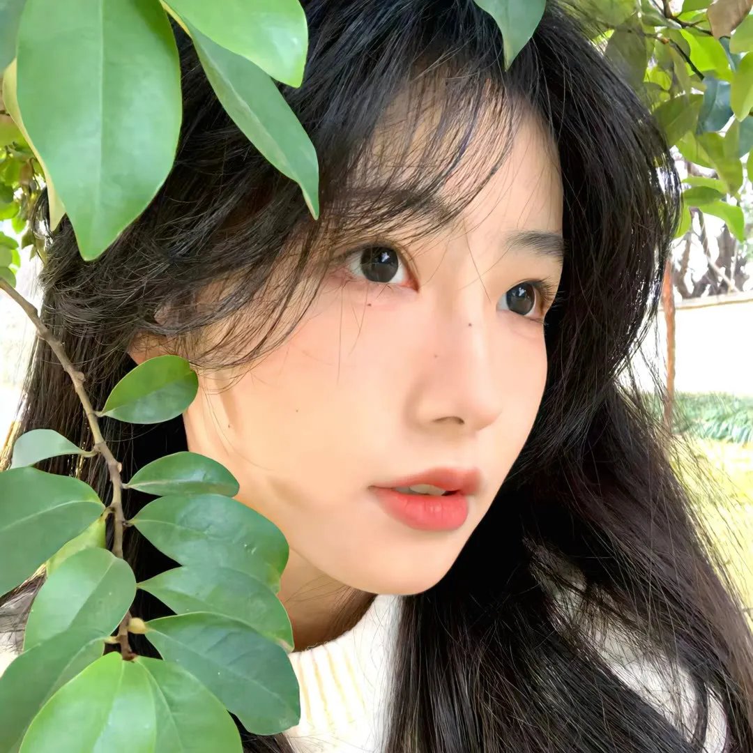锦绣南歌